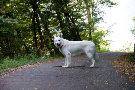 Passeggiata in collina
